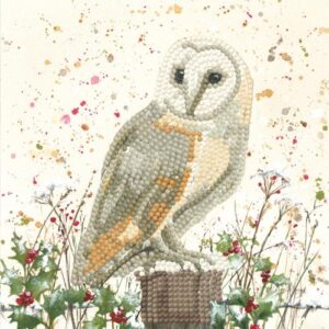 Bree Merryn Diamond Art Christmas Card Kit - Orion