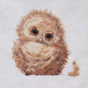 Owlet 
