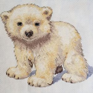 Polar Bear Cub 
