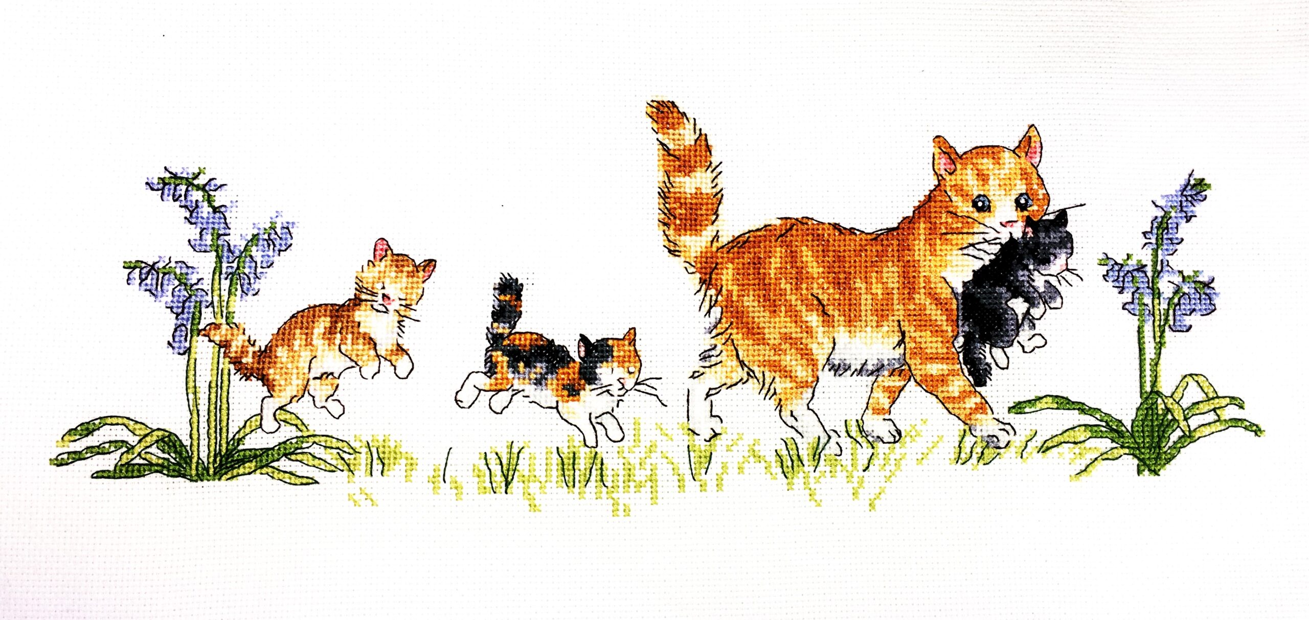 Mittens & Her Kittens